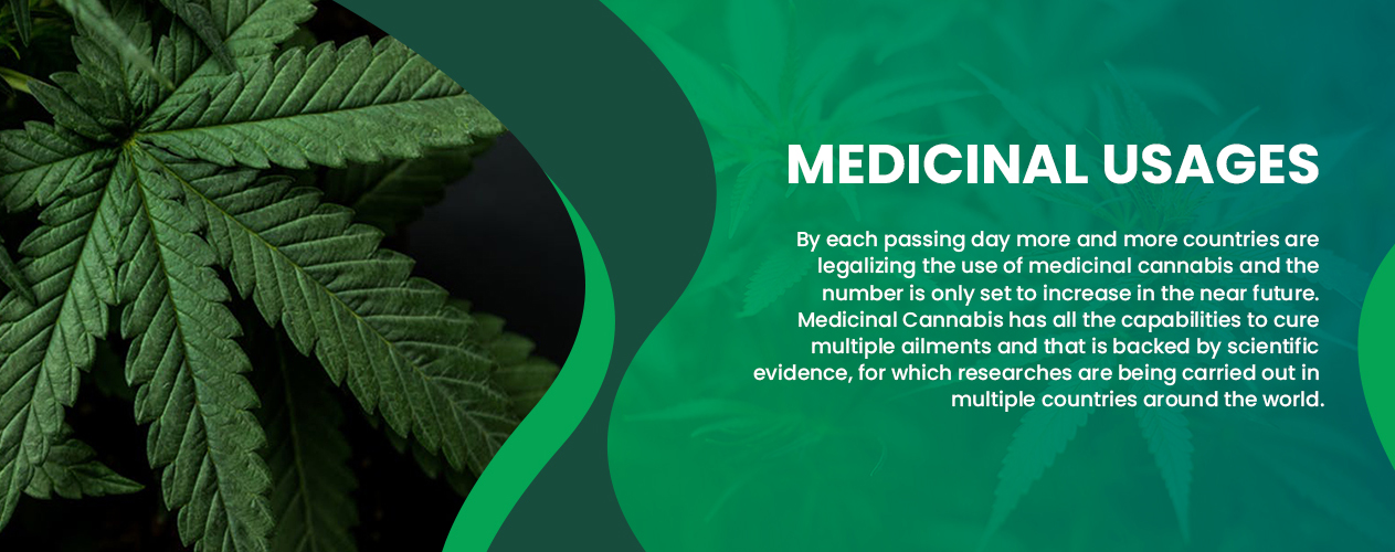 medical cannabis newziland